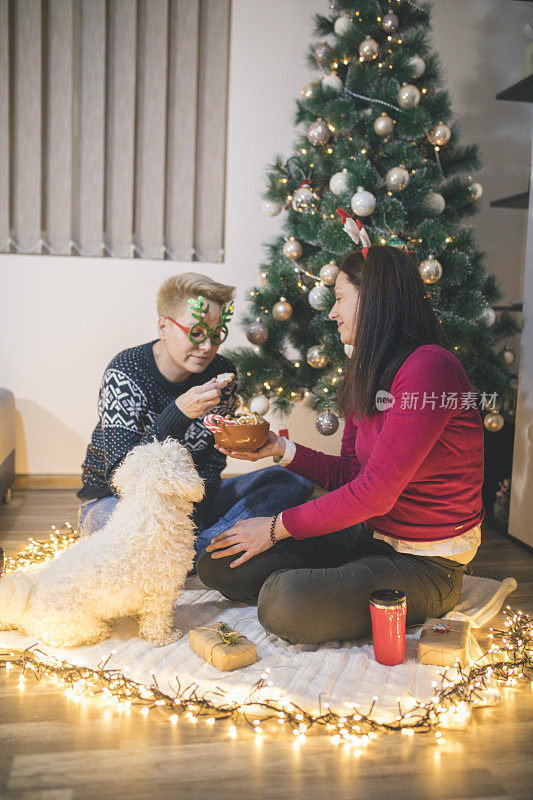 两个女人和狗分享圣诞/新年礼物